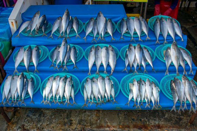 jenis ikan konsumsi